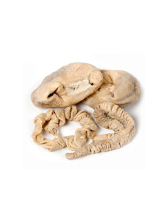 SALTED PIG CASING